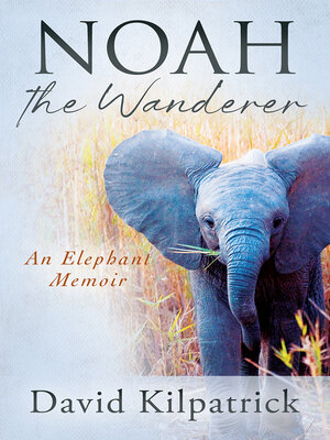 cover image of Noah the Wanderer